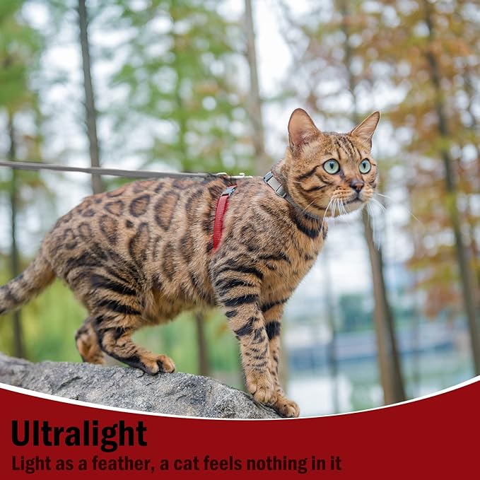 PUPTECK Adjustable Cat Harness and Leash Set Escape Proof Kitten Strap Collar for Walking Travel, Grey/Red Mixed