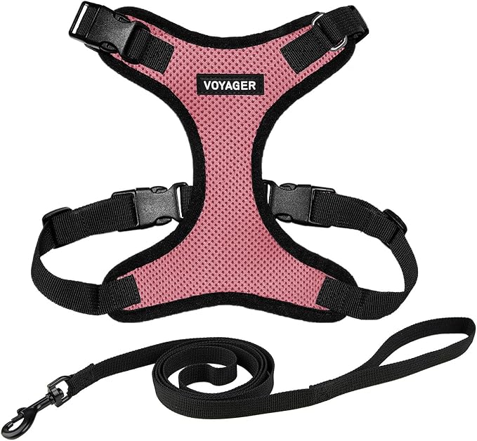 Voyager Step-in Lock Adjustable Cat Harness w. Cat Leash Combo Set with Neoprene Handle 5ft - Supports Small, Medium and Large Breed Cats by Best Pet Supplies - Pink/Black Trim, S