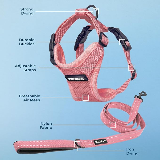 Voyager Step-in Lock Dog Harness w Reflective Dog Leash Combo Set with Neoprene Handle 5ft - Supports Small, Medium and Large Breed Puppies/Cats by Best Pet Supplies - Pink, XS