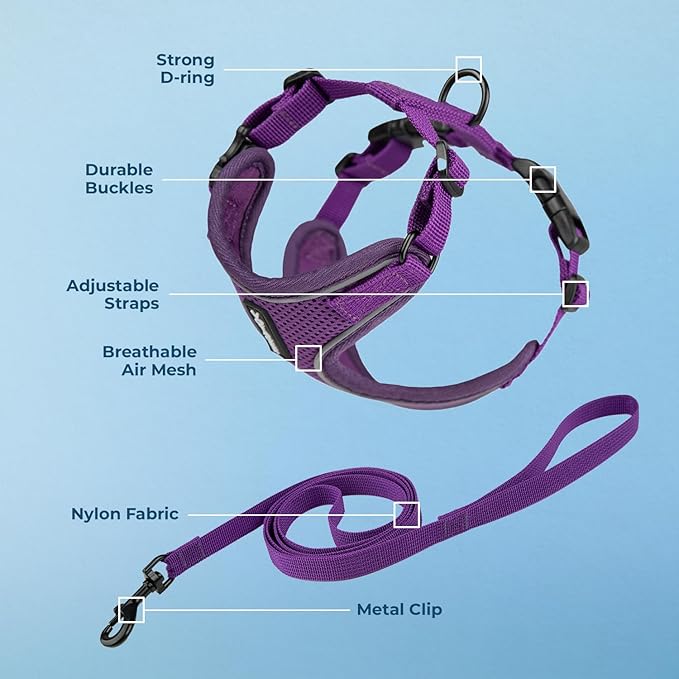 Voyager Escape Proof Cat Harness and Leash Set with Reflective Stitching, Neoprene Handle 5ft - Supports Small, Medium and Large Cats, Kittens for Walking by Best Pet Supplies - Purple, XXXS