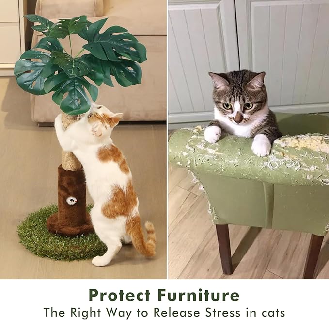 Cat Scratching Posts Cat Trees 26.4" Tall with Sisal Rope Cat Toy and Hanging Ball for Indoor,Wooden Palm Tree Cat Scratch Pole for All Cat