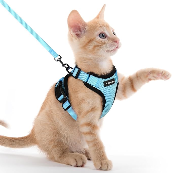 rabbitgoo Cat Harness and Leash for Walking, Escape Proof Soft Adjustable Vest Harnesses for Cats, Easy Control Breathable Reflective Strips Jacket, Light Blue, XXS