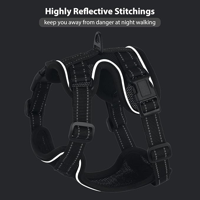 Rttochfy Cat Harness and Leash Set, Adjustable and Reflective Cat Vest, Escape Proof Kitten Harness, Easy to Put on with 3 Buckles for Cats Walking and Traveling (Black, S)