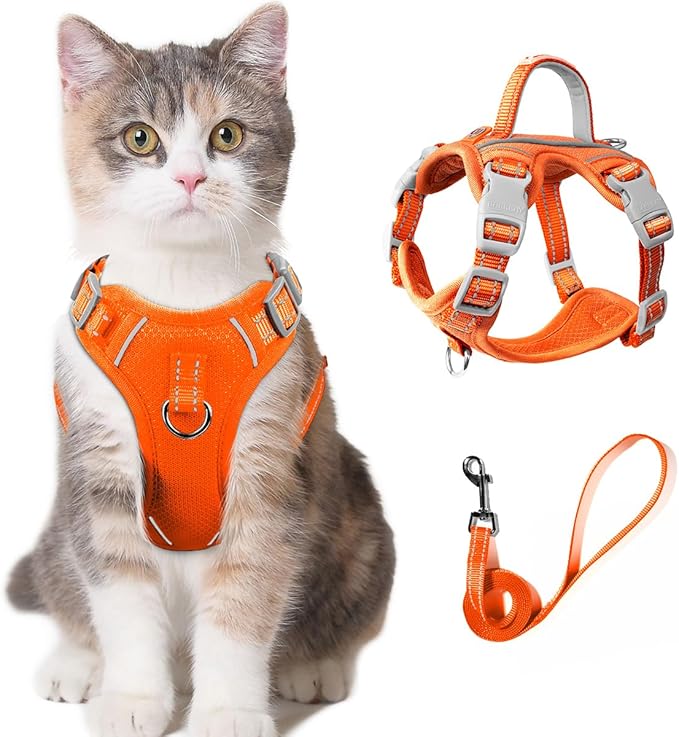 Cat Harness and Leash Set for Walking Escape Proof for Small Large cat Kitten Harness with ID tag Pocket (Orange,XXS)