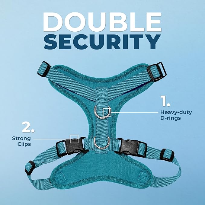 Voyager Step-in Lock Dog Harness w Reflective Dog Leash Combo Set with Neoprene Handle 5ft - Supports Small, Medium and Large Breed Puppies/Cats by Best Pet Supplies - Turquoise, M