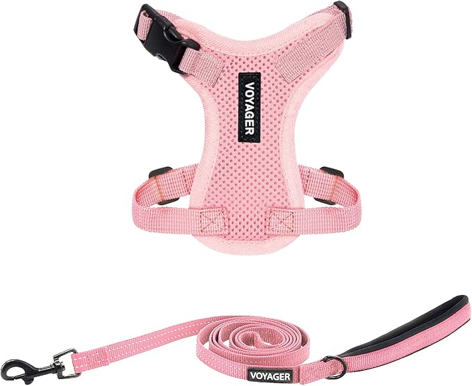 Voyager Step-in Lock Adjustable Cat Harness w. Cat Leash Combo Set with Neoprene Handle 5ft - Supports Small, Medium and Large Breed Cats by Best Pet Supplies - Pink, XXXS