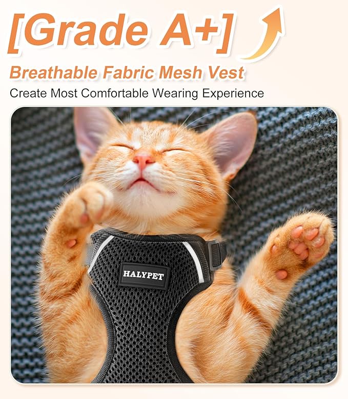 Halypet Cat Harness and Leash Set [ MAX Safety Third Generation ] Escape Proof Soft Adjustable Cat Leash Breathable Comfortable Vest Easy to Wear Kitten Harness for Outdoor Walking Black
