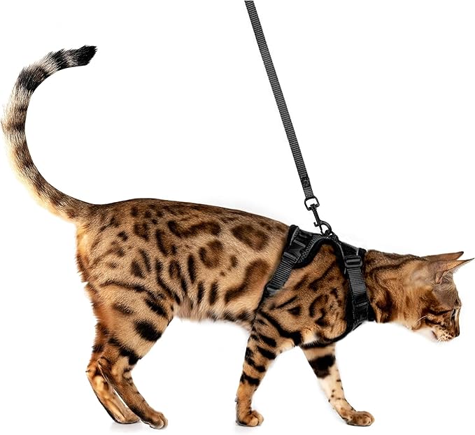 MeWO Kitten Leash and Harness Set - Escape Proof, Reflective, Adjustable for a Safe & Snug Fit - Small Cat Harness and Leash Set Cat Leashes and Harnesses for Walking Outdoors Kitten Harness and Leash