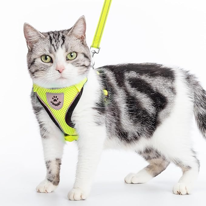 PUPTECK Cat Harness and Leash Set Escape Proof Reflective Cat Walking Harness Adjustable Soft Breathable Mesh Vest for Small Pets, Fluorescent Yellow, M