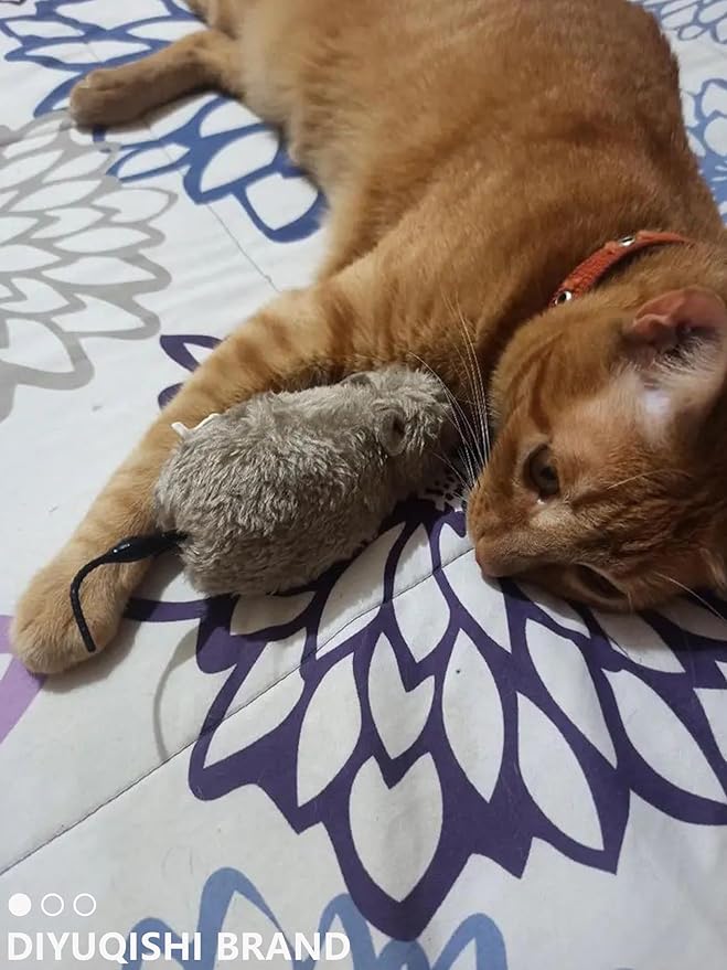 14 Pcs Cat Toys, 1.5" to 6.3", Lightweight, Interactive, Assorted Colors, Cat Toy Balls for Kitten Training and Play, for All Breed Sizes