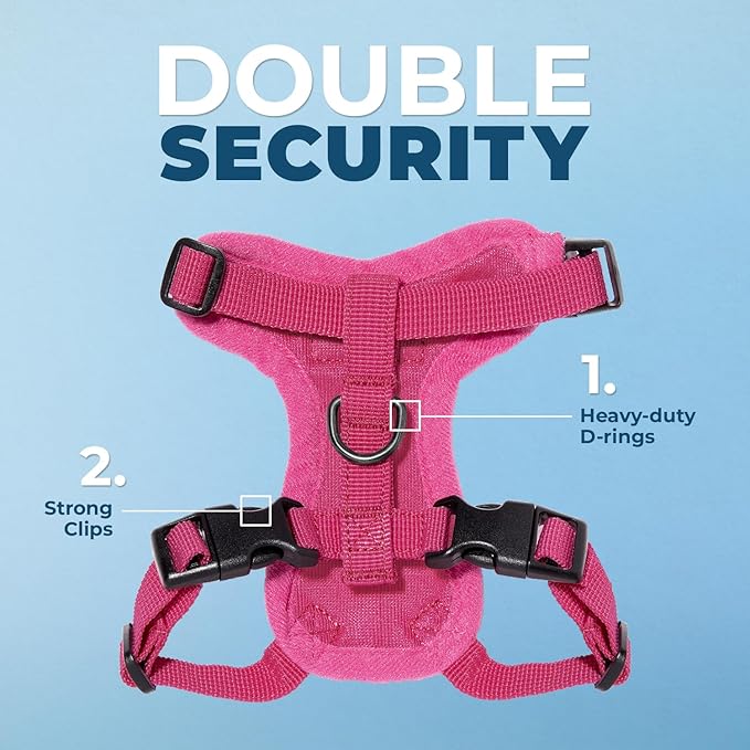 Voyager Step-in Lock Adjustable Cat Harness w. Cat Leash Combo Set with Neoprene Handle 5ft - Supports Small, Medium and Large Breed Cats by Best Pet Supplies - Fuchsia, XS