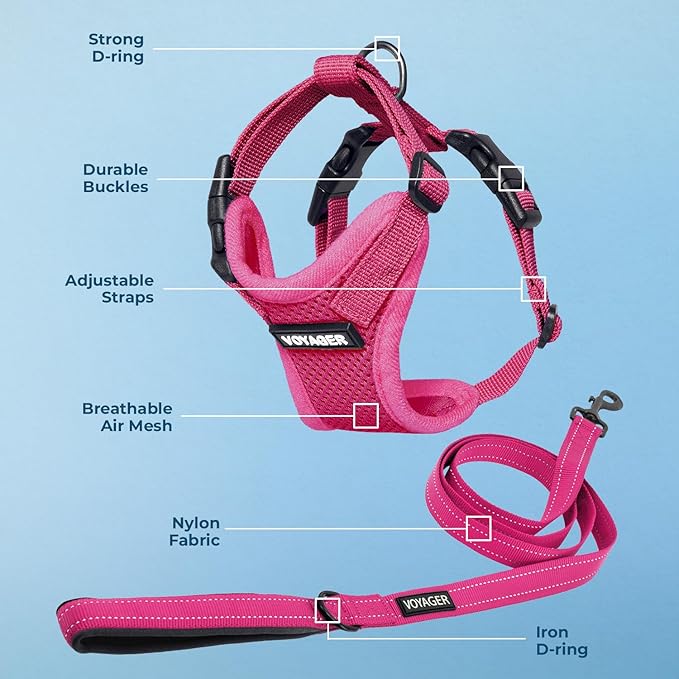 Voyager Step-in Lock Dog Harness w Reflective Dog Leash Combo Set with Neoprene Handle 5ft - Supports Small, Medium and Large Breed Puppies/Cats by Best Pet Supplies - Fuchsia, M