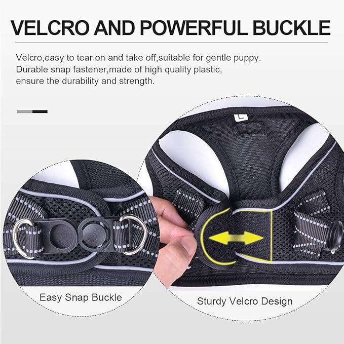 Soft Mesh Dog Harness and Leash Set, Step-in Reflective Breathable Comfort Padded Quick Dry Pet Puppy Vest Harness for Extra-Small/Small Medium Dogs and Cats (Black, L)