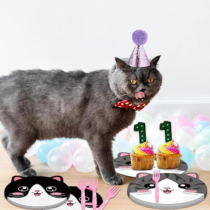 48Pcs Cat Birthday Party Decorations Meow Pawty Disposable Plates Napkins And Forks Serves 16 Pet Kitten Baby Shower Birthday Party Decorations