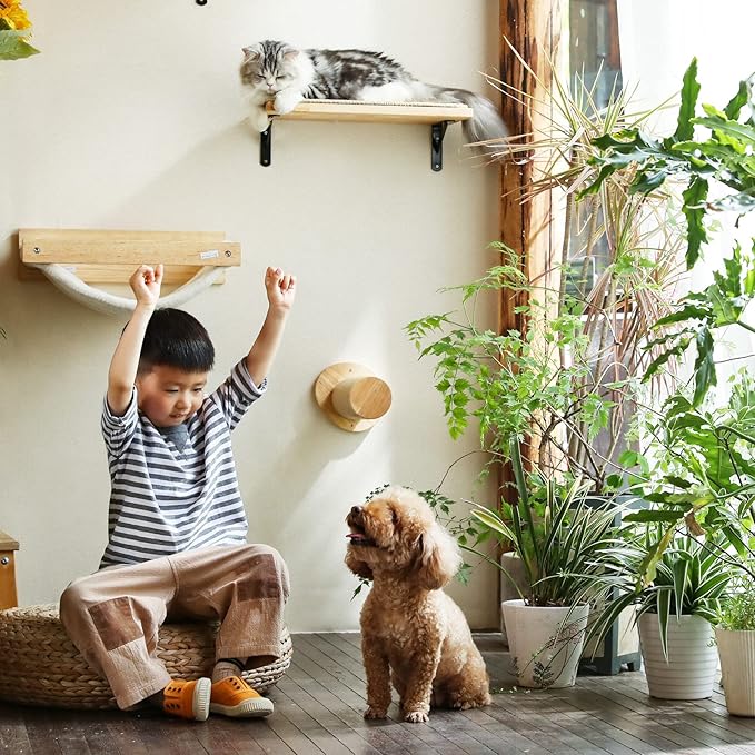 FUKUMARU Cat Wall Furniture, 11.8 Inch Cat Wall Steps for Drywall, Cat Stairs for Wall Mounted with Jute Scratching Cat Shelf for Most Kitten, Medium and Large Cats, 2 of Pack