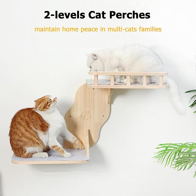 Wall Mounted Cat Shelves for Inside,2-Levels Wall Perch with Scratching Mat,Solid Pine Wood Floating Furniture for Climb,Lounge and Sleep (Right)