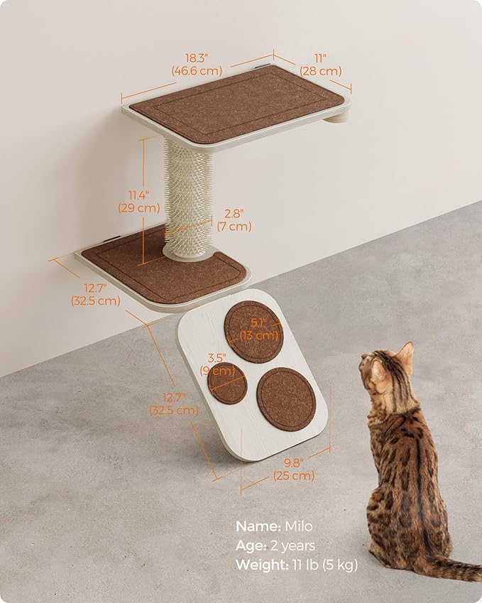 Feandrea Clickat Collection - No.004 Cat Stairs, Wall-Mounted Cat Ladder with Shelves, Self Groomer, Extremely Quick Assembly, Unlimited Expandability, Replaceable Washable Felt Pads