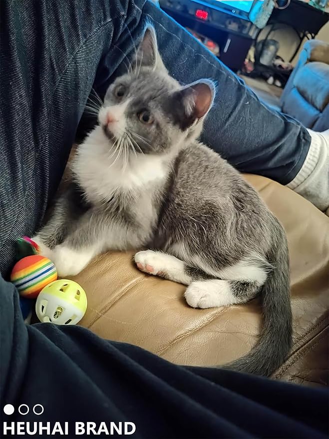 10 Pcs 1.5''~2.2'' Big Cat Toy Ball with Bell, Plastic Lattice Jingle Balls, for All Breed Sizes