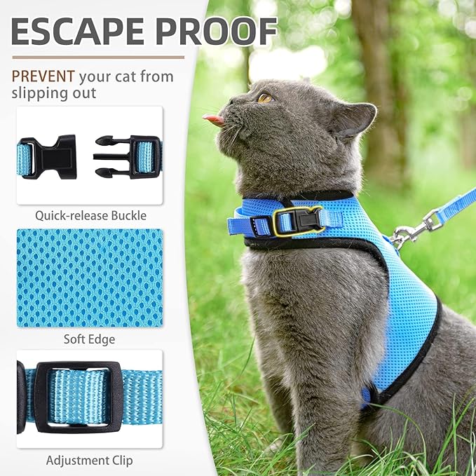 PUPTECK Soft Mesh Cat Vest Harness and Leash Set Puppy Padded Pet Harnesses Escape Proof for Cats Small Dogs, Blue Small