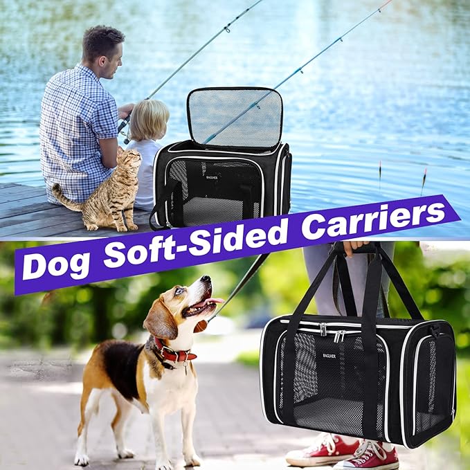 BAGLHER Pet Travel Carrier, Cat Carriers Dog Carrier for Small Medium Cats Dogs Puppies, Airline Approved Small Dog Carrier Soft Sided, Collapsible Puppy Carrier. Black