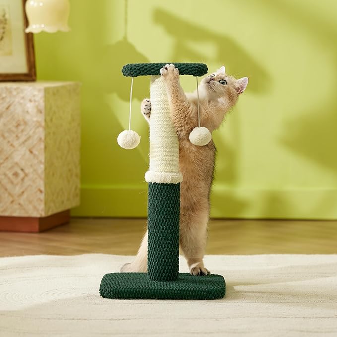 Lesure Cat Scratching Post for Indoor Cats - Highly Resistant Carpet Scratch Posts, Premium Sisal Rope Scratch Posts for Kittens, Sturdy Small Cat Scratch Pole with Hanging Ball, Green(22.5 inch)