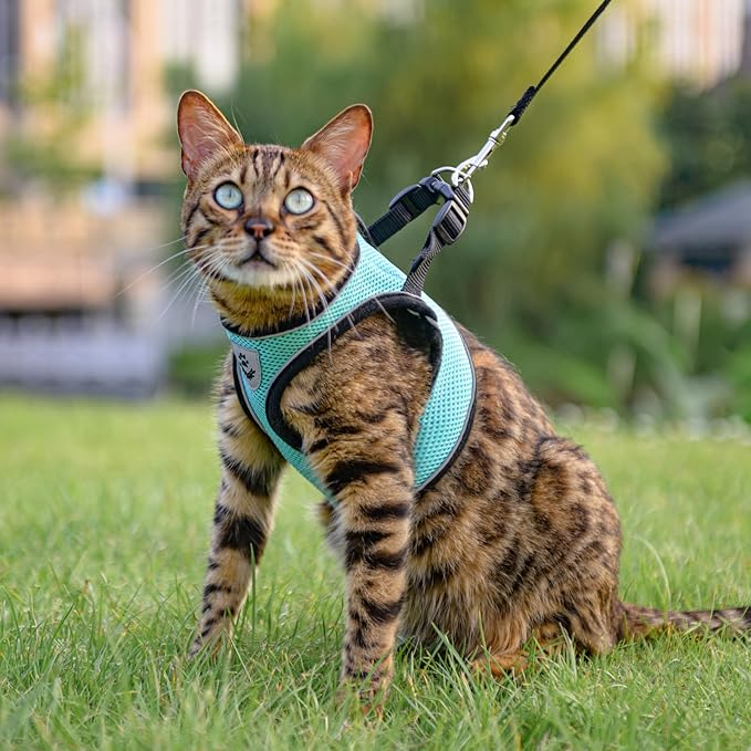 SCENEREAL Cat Harness and Leash Set Escape Proof, Adjustable Soft Air Mesh Cat Harnesses for Girls Boys, Reflective Light Cat Vest for Kitten Puppy Rabbit, Pet Vest Harnesses for Small Medium Big Cats