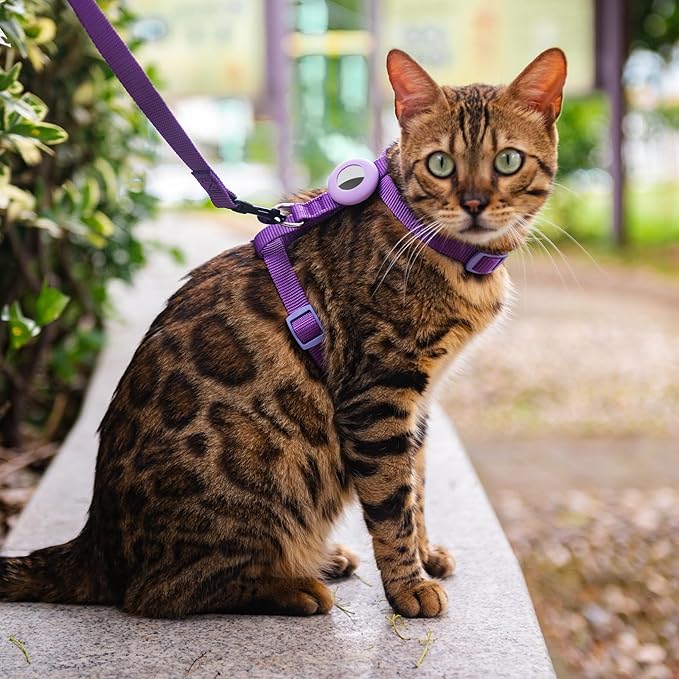 Cat Harness and Leash Set Escape Proof for Walking, Adjustable Cute Kitten Harness Leash with Airtag Holder for Small Large Cats, Lightweight Soft Walking Travel Harness (Purple)
