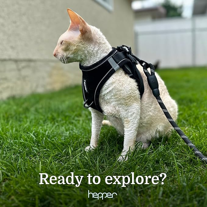 Hepper Cat Harness and Leash Escape Proof Set - Black Tactical Cat Harness with Reflective Safety Strips - Kitten or Cat Vest/Cat Jacket/Cat Walker (M)