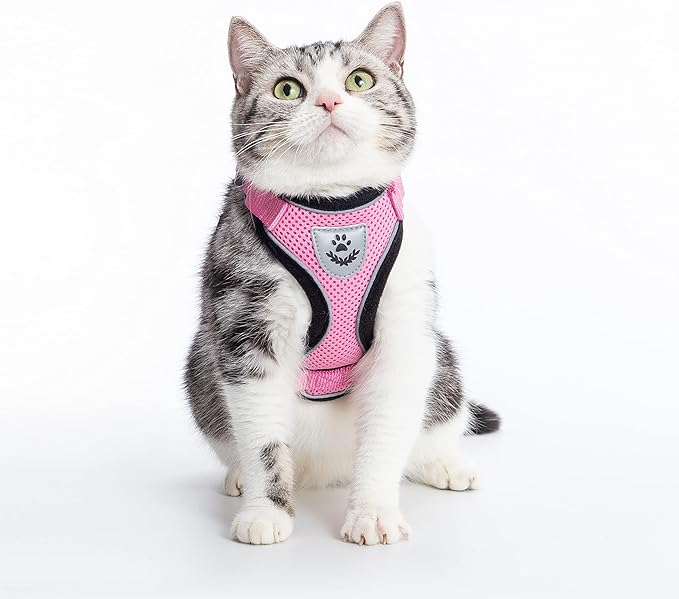 PUPTECK Cat Harness and Leash Set Escape Proof Reflective Cat Walking Harness Adjustable Soft Breathable Mesh Vest for Small Pets, Light Pink, S