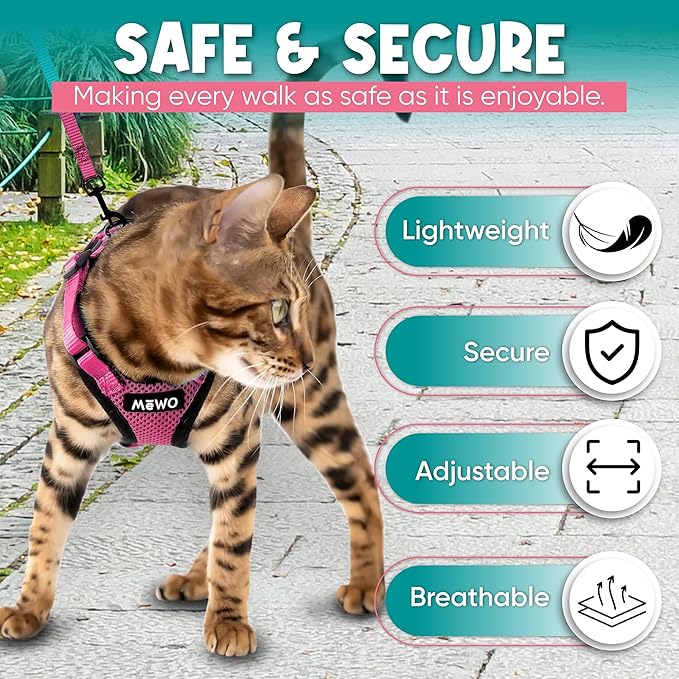 MeWO Kitten Leash and Harness Set - Escape Proof, Reflective, Adjustable for a Safe & Snug Fit - Small Cat Harness and Leash Set Cat Leashes and Harnesses for Walking Outdoors Kitten Harness and Leash