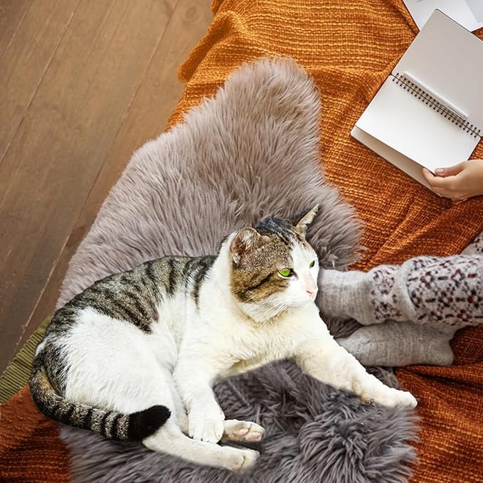 Fluffy Pet Dog Cat Bed Mat Rug, Washable Super Soft Plush Faux Fur Warm Area Mat Pad for Indoor Pet Cat Dog Small Sleep Cushion