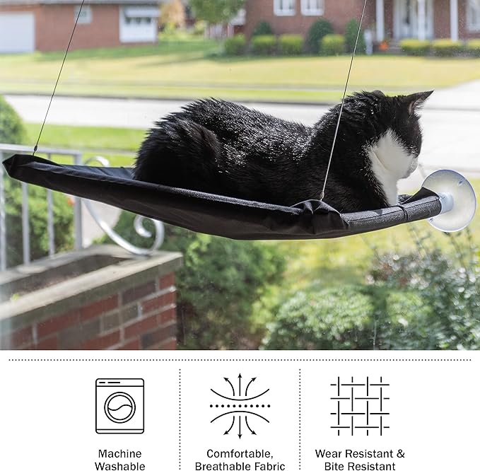 Cat Window Perch - Cat Window Hammock with Strong Suction Cups and Removable Machine Washable Oxford Cloth Cat Bed for Large Cats by PETMAKER (Black)