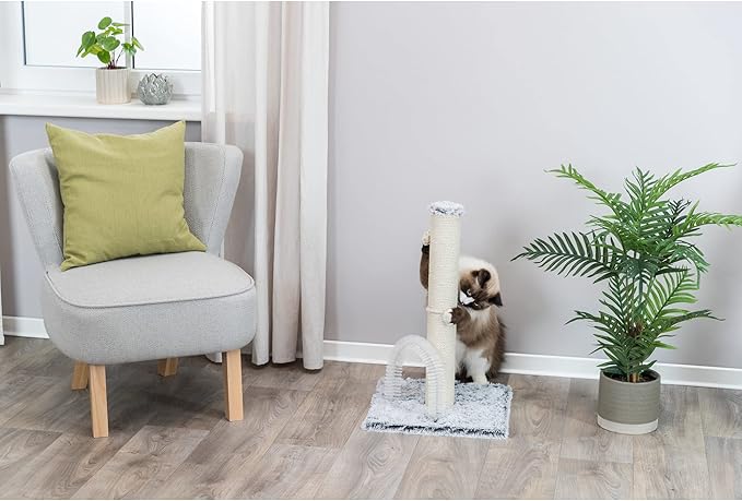 TRIXIE Lola Scratching Post with Grooming Brush, Durable Sisal, 24-in Tall, (Gray)