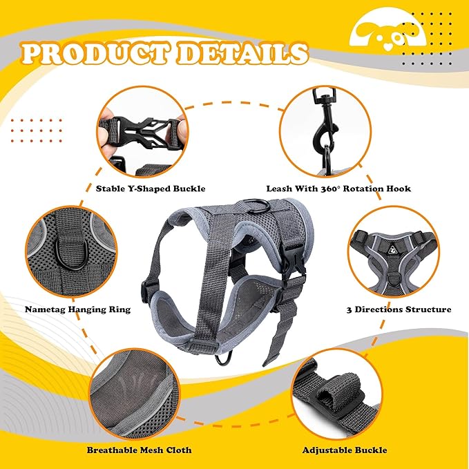 PetnBeyond Kitten Harness and Leash Set - Secure, Comfortable Control with Breathable Mesh Jacket - Adjustable Vest for Safe Walks with Reflective Strips - Kitty Escape Proof Kit (Medium, Grey)