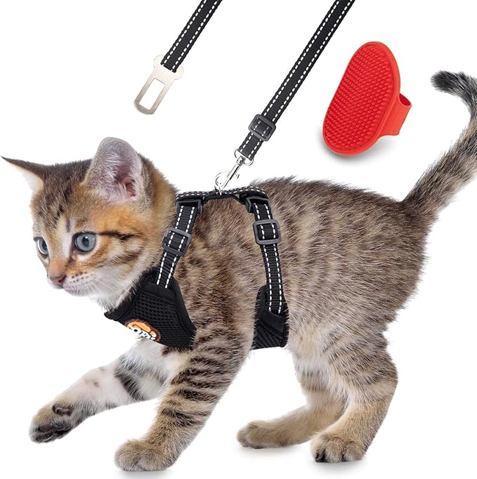 Reflective Kitten Harness and Leash Escape Proof with Car Seat Belt, Adjustable Cat Puppy Walking Jacket with Metal Leash Ring, Soft Breathable Small Pet Vest (M)