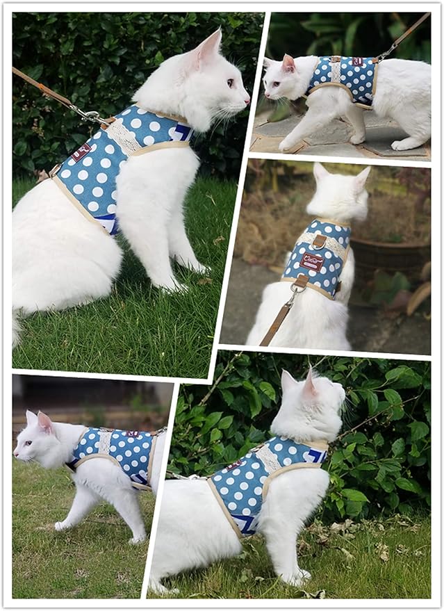 Cat Harness and Leash for Walking Escape Proof, Adjustable Cat Vest Harness, Padded Stylish Cat Walking Jackets, Polka Dot Blue, X-Small