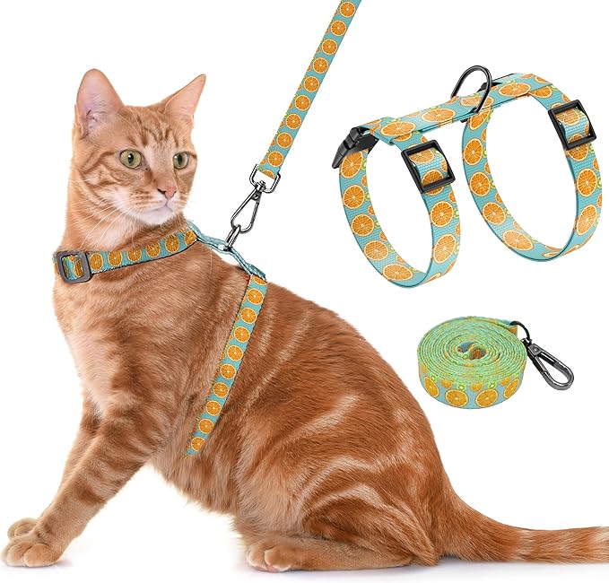 Cat Harness and Leash Set, Adjustable Kitten Harness Escape Proof Cats Harness, Soft Lightweight Walking Travel Pet Harness, Cute Kitty Harness Leash Set for Small Medium Cats, Blue Lemon