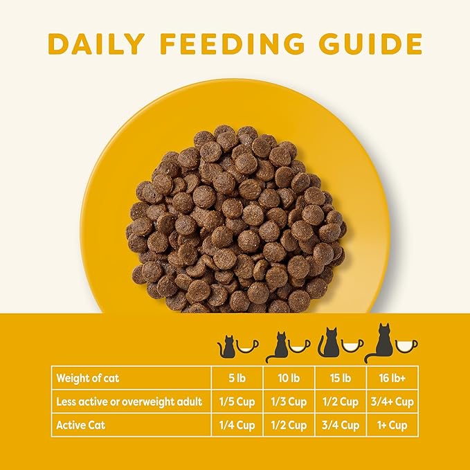 Applaws Complete Dry Cat Food, Grain-Free, Limited Ingredient Food with Added Vitamins & Minerals, Protein, Natural Cat Food, Supports Digestion, Chicken & Turkey (4 Pound Dry Cat Food)