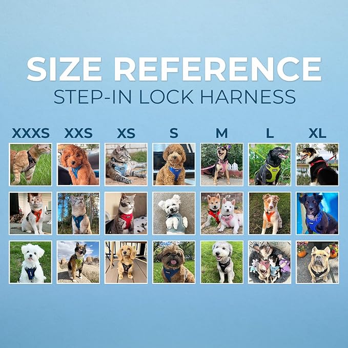 Voyager Step-in Lock Dog Harness w Reflective Dog Leash Combo Set with Neoprene Handle 5ft - Supports Small, Medium and Large Breed Puppies/Cats by Best Pet Supplies - Red, S