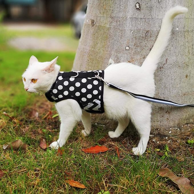 Cat Harness and Leash for Walking Escape Proof, Adjustable Cat Vest Harness, Padded Stylish Cat Walking Jackets, Polka Dot Black, Small