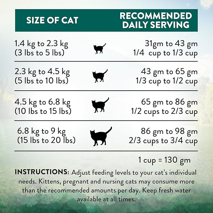 Addiction Wild Islands Island Bird Dry Cat Food, Premium Duck, Turkey & Chicken Recipe with High-Protein & Grain-Free Formula for Feline Health - 10lbs