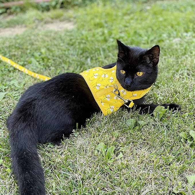 Cat Harness with Leash and Collar for Walking - Escape Proof with 59 Inches Leash - Adjustable Soft Vest Harnesses for Medium Large Cats Bee