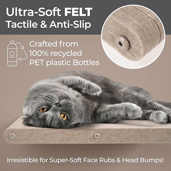 Cat Wall Bed by Pryde Pets, Perch and Cat Shelf for Wall - 100% PET Felt, Sustainable - Modular Floating Shelf for Cats, Indoor/Outdoor Cat Furniture (Oatmeal)