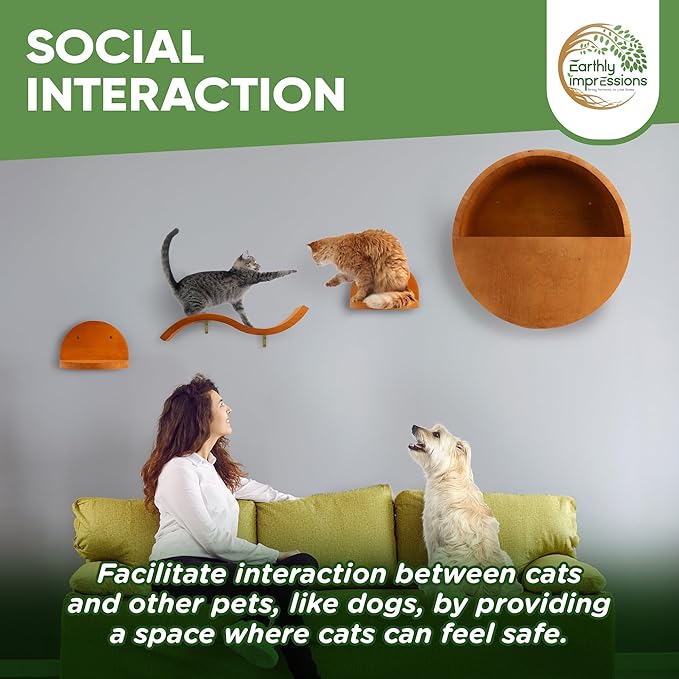 Modern Floating Wall Cat Shelves with Hiding Perch - 4 Piece Set for Climbing & Lounging - Stylish Wall-Mounted Cat Furniture