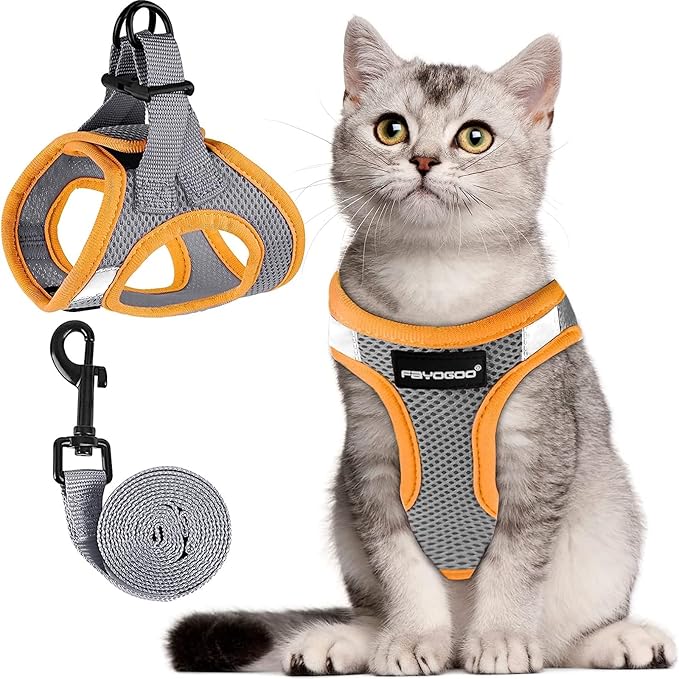 FAYOGOO Cat Harness, Cat Leash and Harness Set for Walking Escape Proof, Harness for Small Cats/Small Dogs, Large Kitten/Puppy Harness and Leash, Harness for Cats S-XXL(Gray, Medium)