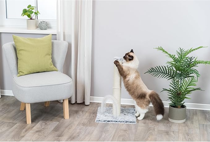 TRIXIE Lola Scratching Post with Grooming Brush, Durable Sisal, 24-in Tall, (Gray)