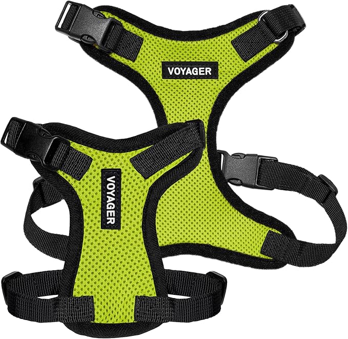 Voyager Step-in Lock Pet Harness - All Weather Mesh, Adjustable Step in Harness for Cats and Dogs by Best Pet Supplies - Lime Green/Black Trim, XS