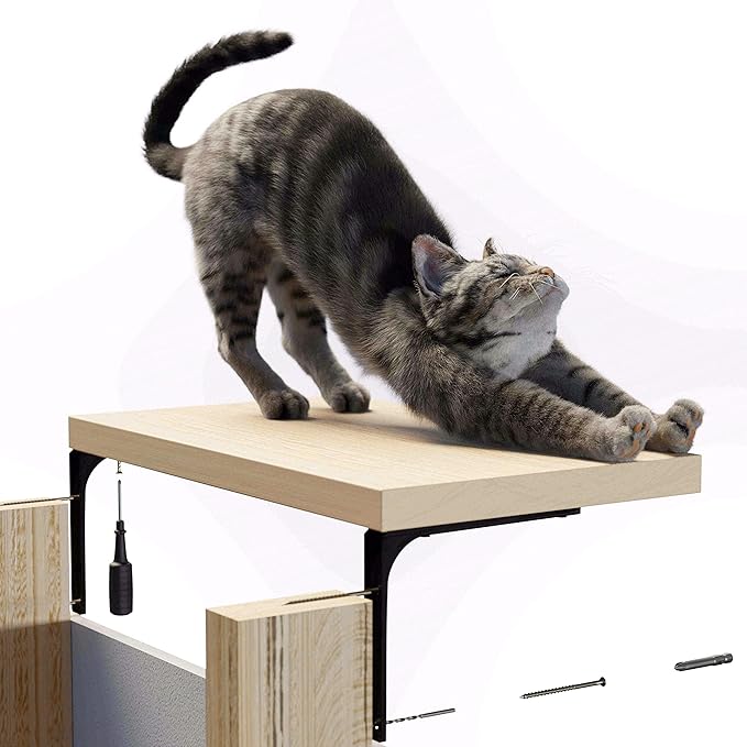 Cat Shelf Wall Furniture - 45-lb-tested-capacity Cat Shelf on Premium Heavy-duty Steel Brackets for Large Cats - 16.75 x 10 x 1 in Wood Cat Tree 2-stud-mounted Easy-drilling for Drywall 1 pc.