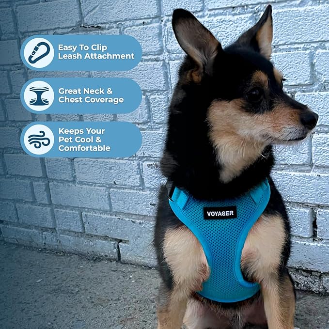 Voyager Step-in Lock Dog Harness w Reflective Dog Leash Combo Set with Neoprene Handle 5ft - Supports Small, Medium and Large Breed Puppies/Cats by Best Pet Supplies - Turquoise, L