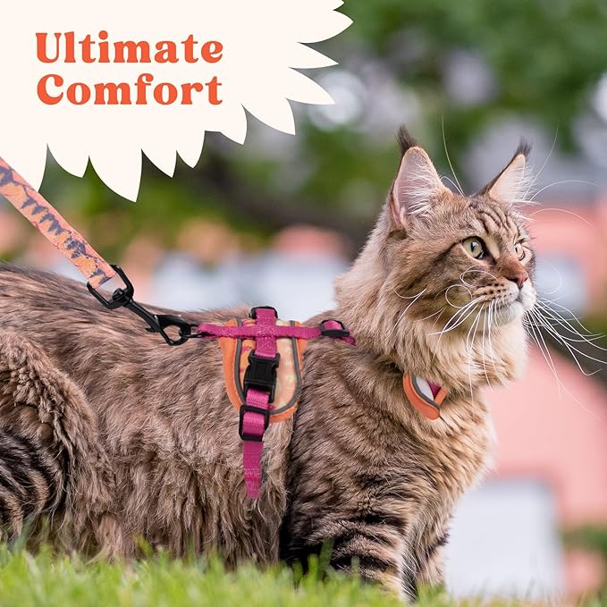 Cat Harness and Leash Set for Walking, Escape Proof Vest Harnesses for Cats, Breathable Mesh with Reflective Strips - (Sienna Mountains), XX-Small